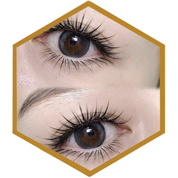 Eye-Lash